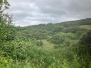 6.94 Acres At Ballysallagh, Hacketstown, Co. Carlow