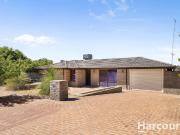 6 Armata Walk, Mirrabooka, 6061, WA