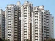 6+ Bedroom 263 Sq.Yd. Independent House in Sector 40...