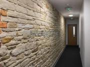6 bedroom flat share to rent