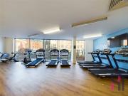 6 bedroom flat to rent
