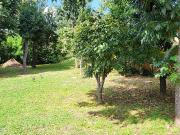 6 Bedroom House For Sale in Kensington