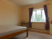 6 Bedroom House Share For Rent In Peterborough,...