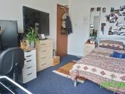 6 bedroom house to rent