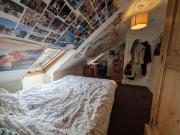 6 bedroom house to rent