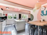 6 bedroom house to rent