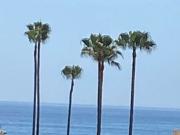 6 bedroom luxury Villa for rent in Puerto Banus, Spain