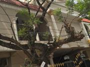 6 BHK Duplex in Habsiguda for resale East Hyderabad. The...