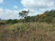 6 ha Land available in Amandasig