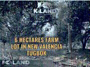 6 HECTARE FARM LOT FOR SALE IN NEW VALENCIA TUGBOK DAVAO...