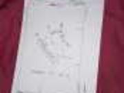 6 hectares titrés zone villas