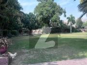 6 Kanal House Fully Big Lawn Available For Rent In Model...