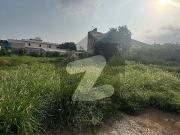 6 Kanal Land Sue E Asal Road Nawa Pind Muzah Pandoki...