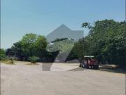 6 Kanal Plot Main Service Road Direct From Dry Port For...