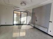 6 marla flat with gas for rent available paragon city
