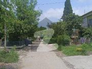 6 Marla Liveable House for Sale G 9/4 Islamabad