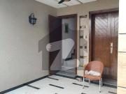 6 marla neat and clean house availabe for rent in dream...