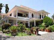 6 quarto, Funchal Ilha da Madeira 9020 90855942