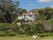 6 quarto, Palmela Setúbal 94577132