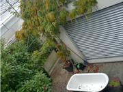 6½ room apartment in Belp BE, furnished, temporary