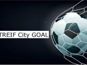 6 Schlafzimmer Haus Wolfsburg Deutschland 78106756