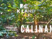 7000sqm Fruitful Investment: Prime Farming Land in Tawan...