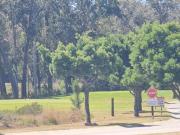 700 m² Land available in Wedgewood Golf Estate