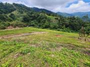 70 100sqm Residential Lot for sale in Tuba Benguet CC