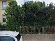 70 m2 apartment for rent in Oldenburg