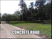 7201sqm Mango farm for sale