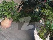 733.33 Square Yard Beautiful7 Bedrooms Proper House...