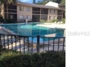 7529 Pitch Pine Cir #D Tampa, FL 33617