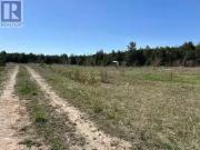 755 Stone Road E, Guelph York/Watson Industrial Park,...