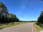 75 acres N. Old Georgetown Road