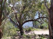 7/5 Minora Place, Rivervale, WA 6103