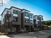 75 SIDNEY ROSE COMMON