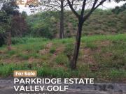 778sqm lot for sale Parkridge Estate Valley Golf Rizal...