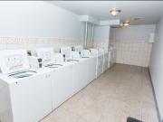 7844 S. Ellis Ave 3 Bedroom Apartment for Rent at 7844 S...