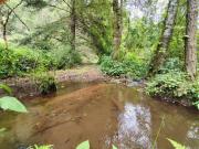 78 Ha de Terreno con río, manantial y bosque cerca de...