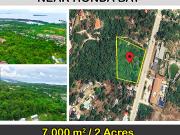 7,000 m2 / 2 Acres Commercial Lot for Sale Near Honda Bay