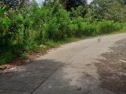7.5 Hectares Farm Lot For Sale in Malagos, Calinan,...
