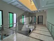 7.5 Marla Beautiful House Available For Rent Near Wapda... 7.5 Marla Beautiful House Available For Rent Near Wapda...