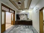 7.5 Marla House for Rent