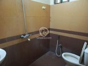 7.5 Marla House for Rent