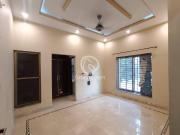 7.5 Marla Lower portion for Rent