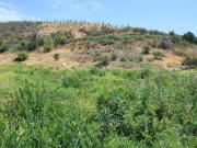 7,7 HECTAREAS URBANIZADA MALLARAUCO