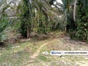 7 acre zoning residential near Pekan Salak