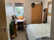 7 bedroom flat to rent