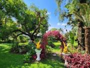 7 Bedroom House in Montana Park