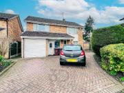 7 bedroom flat to rent